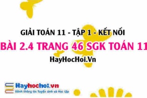 Giải bài 2.4 trang 46 Toán 11 tập 1 SGK Kết nối tri thức